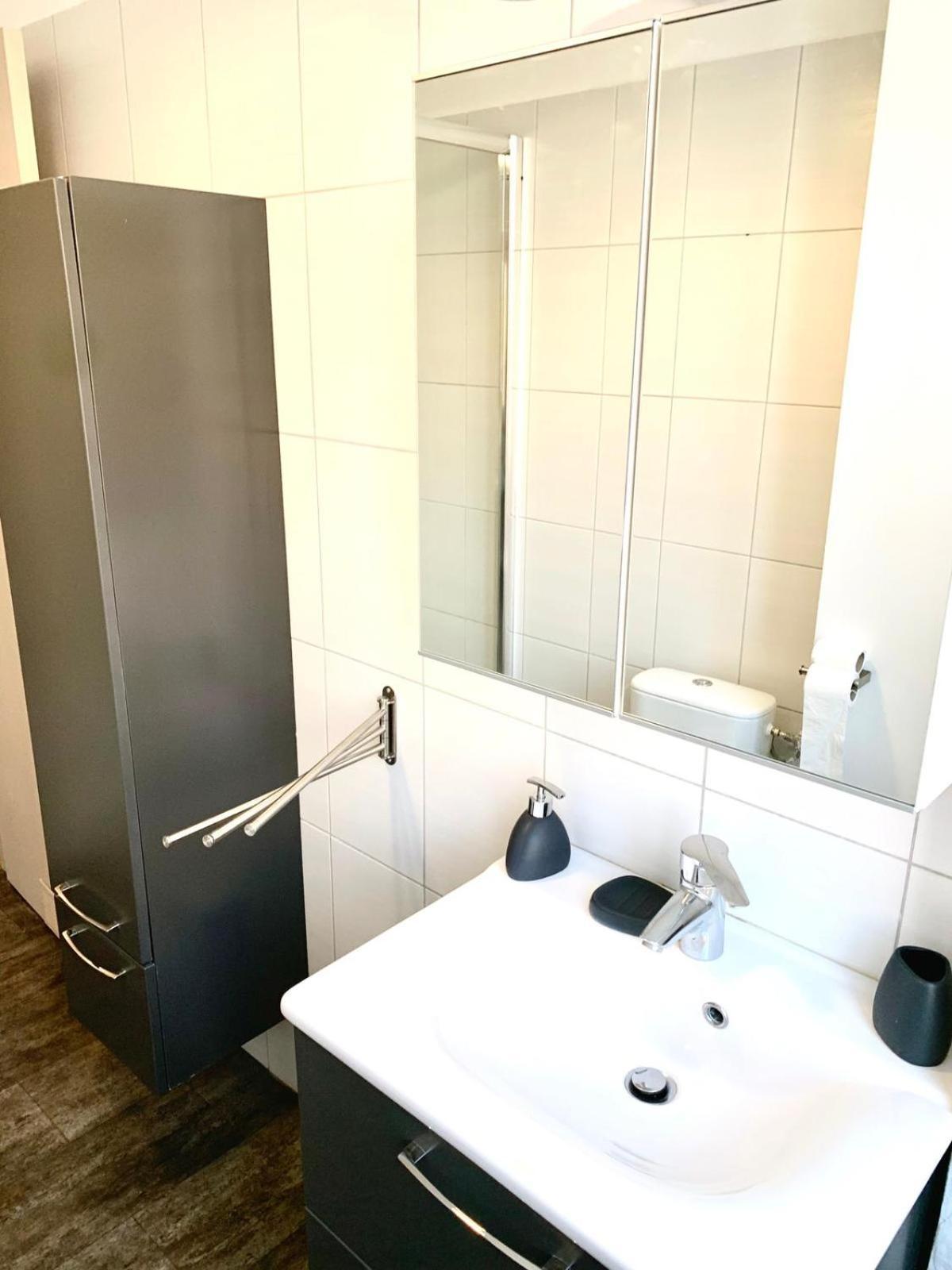 Appartement Duplex Du Lion à Belfort Extérieur photo